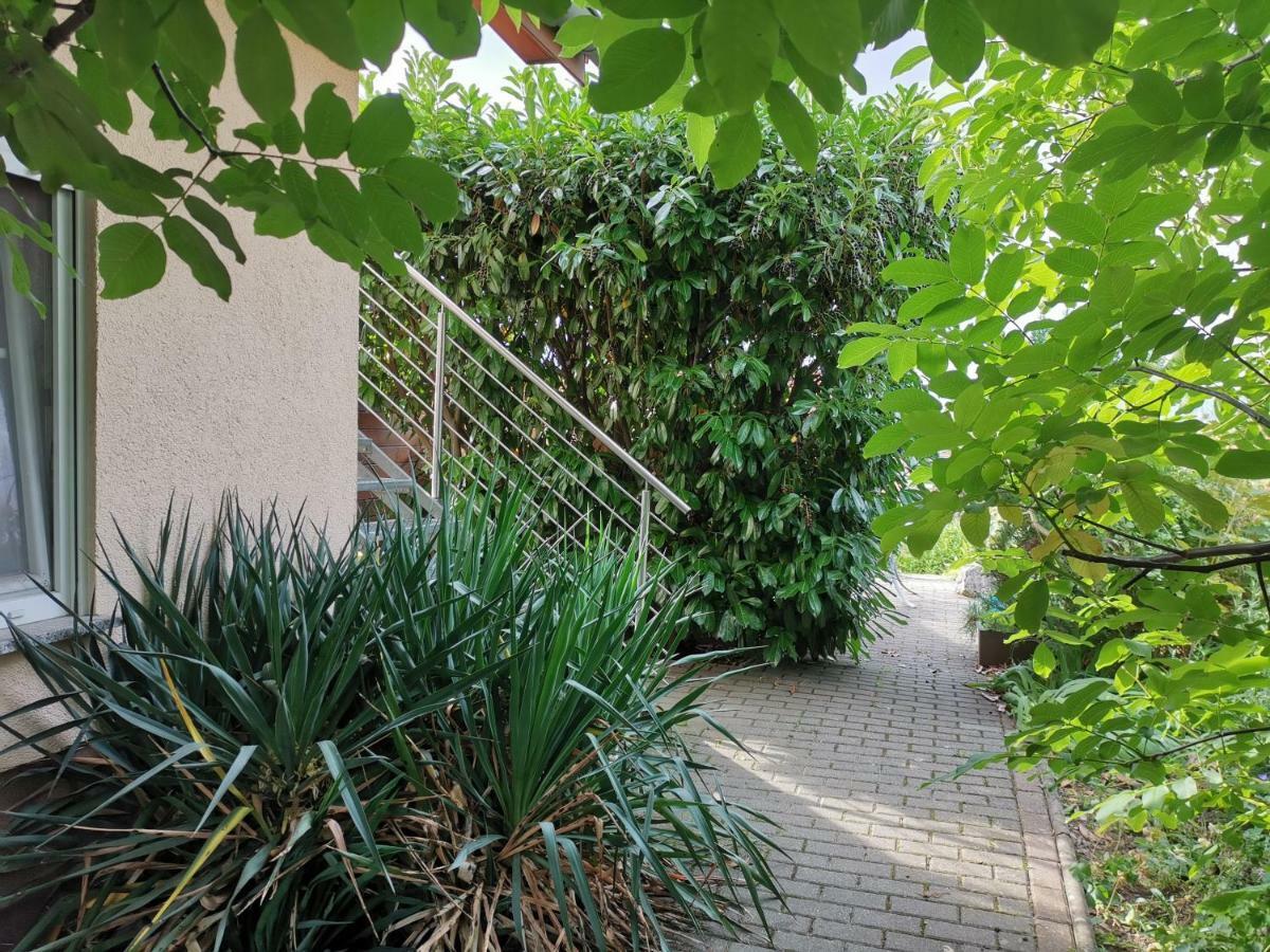 Apartment Am Horstberg Вернигерод Екстериор снимка